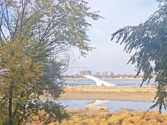 -黑龙江公园