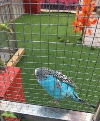 -萌宠亲子动物乐园(槐房万达店)