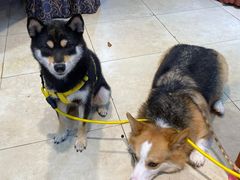 -海上驿站渔家菜馆