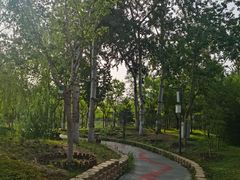 -莲花池公园