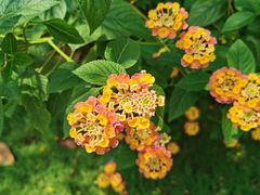 -杭州城北体育公园