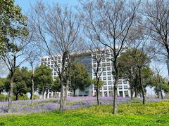 -上海山野camping·户外天幕烧烤·团建拓展营地