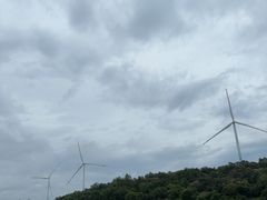 -汕尾风车岛