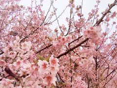 -福建鲤鱼洲酒店