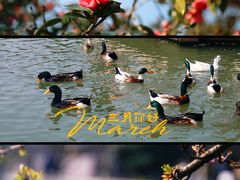 -玄武湖景区-情侣园游乐场