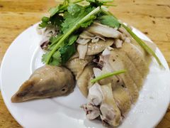 文昌鸡-文昌鸡饭店110号(中山路店)