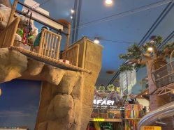 点击看大图 -卡通尼·Safari非洲探索乐园·生日会(金桥国际商业广场店)