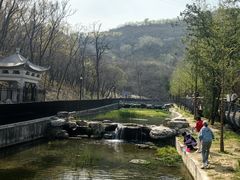 -白水寺森林公园