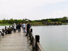 -溱湖国家湿地公园