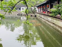-无锡蠡湖国家湿地公园-蠡园