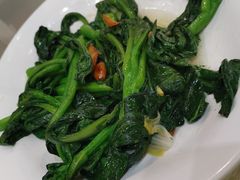 生炒菜心-禄源公·老莞诚饭店