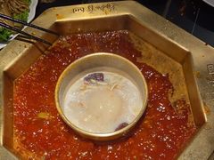 -蜀九香火锅(彩虹店)