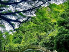 -广州市石门国家森林公园