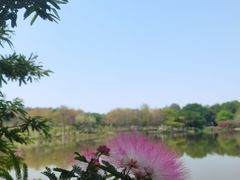-东莞植物园