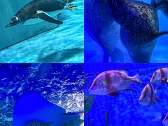 -正佳极地海洋世界