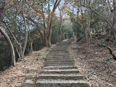 -灵顺寺