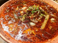 -云海肴·汽锅鸡·云南菜(天山百盛优客店)