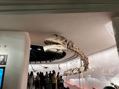-自贡恐龙博物馆