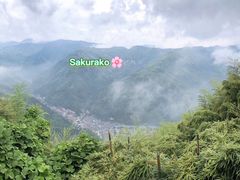 -藏龙百瀑风景区