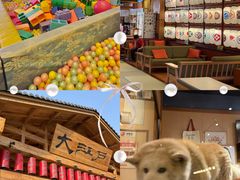-大江户·温泉洗浴(浑南店)