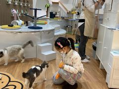 -COLOR PETS 撸猫馆·购猫·猫咖(长风大悦城店)