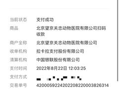 -瑞派·关忠动物医院·异宠专科·犬猫肿瘤·皮肤专科(望京店)