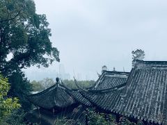 -南山植物园