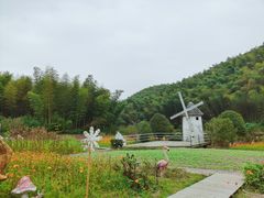 -宁波浙东大竹海景区
