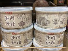 -九木杂物社(新奥购物中心店)