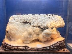 -贵州省地质博物馆