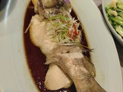 清蒸鲈鱼-丽华园(汉阳龙阳店)