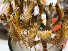 -红鼎豆捞·非遗鲍皇汤火锅(宝丰路店)