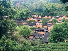 -杨家堂村