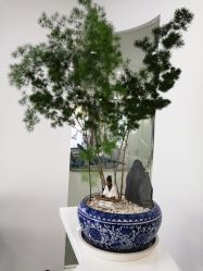 -索菲医疗整形美容