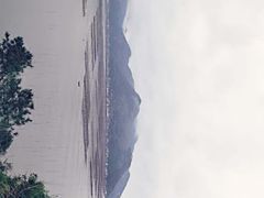 -北岐滩涂
