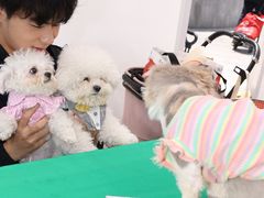 -上海第一八佰伴