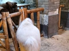 -巴倒烫陆派火锅山庄(南山总店)