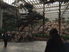 iphone_upload_pic-龙达温泉生态城