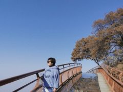 -少华山国家森林公园