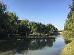 -昆山城市生态森林公园