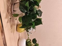 -大田牛尾汤(幸福河市场店)
