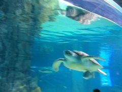 -常州海昌海洋探索馆