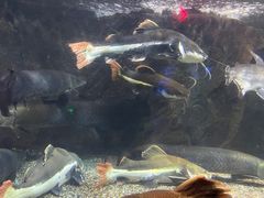 -太平洋海底世界