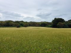 -鹅銮鼻公园