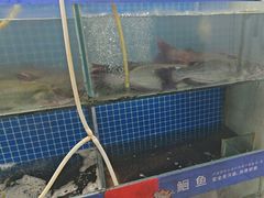 -鱼酷活鱼烤鱼(信息城店)
