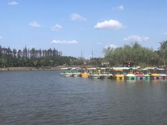 -上海长兴岛郊野公园