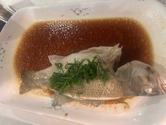 -云中小雅