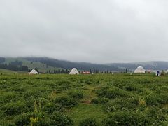 -新疆那拉提国家旅游度假区