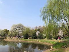 -堤角公园