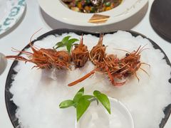 -桂满陇·海市蜃楼·黑金(国金店)